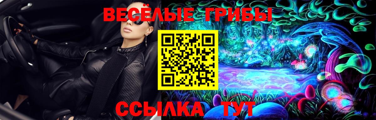 Артёмовский  Галлюциногенные грибы Cubensis  Псилоцибиновые грибы Psilocybine cubensis  Вход с VPN 